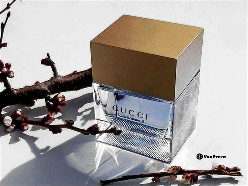 Nước hoa nam hương gỗ - Gucci Pour Home II EDT 